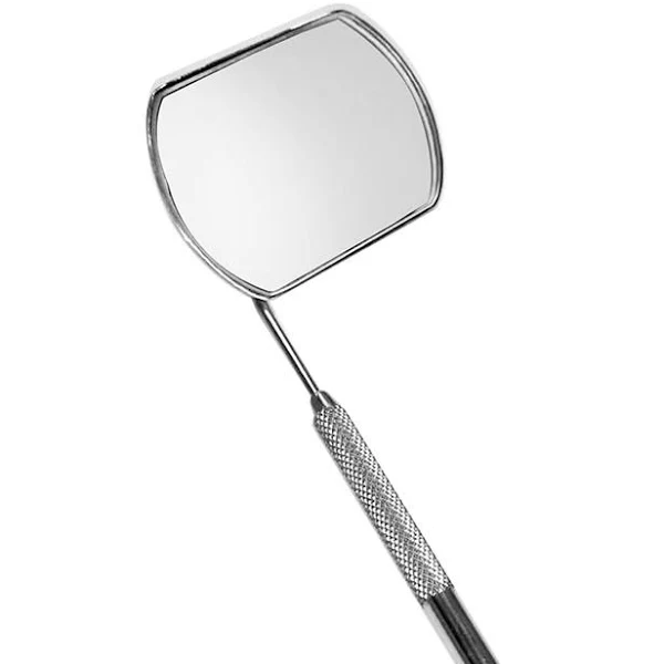 lash mirror